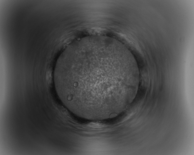 X0000092230699200709211026
