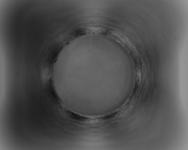 X0000092230701200709211026