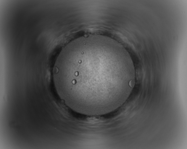 X0000092230703200709211026