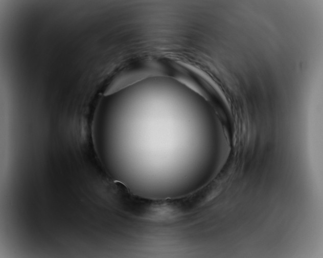 X0000092230704200709211026