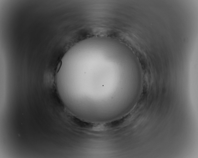 X0000092230705200709211026