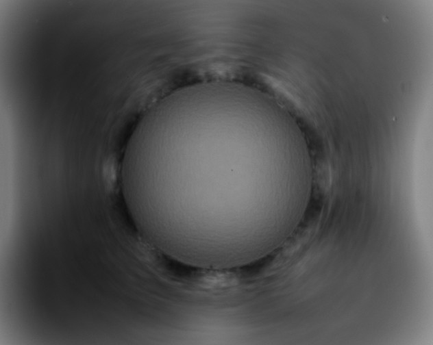 X0000092230709200709211025