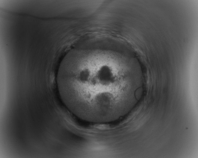 X0000092230711200709211025