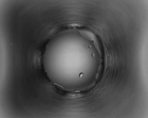 X0000092230712200709211025