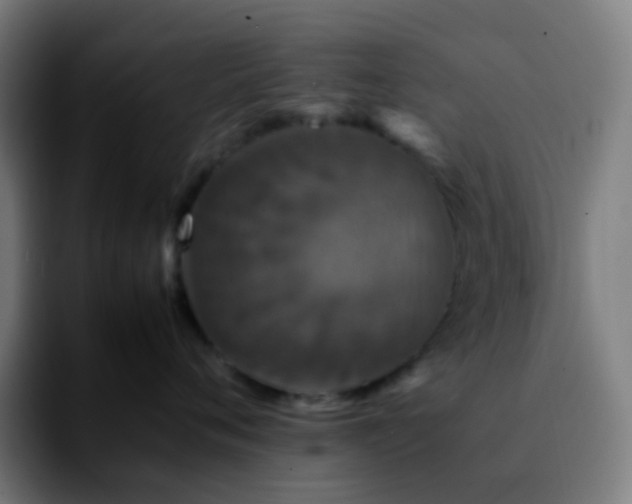 X0000092230720200709211025