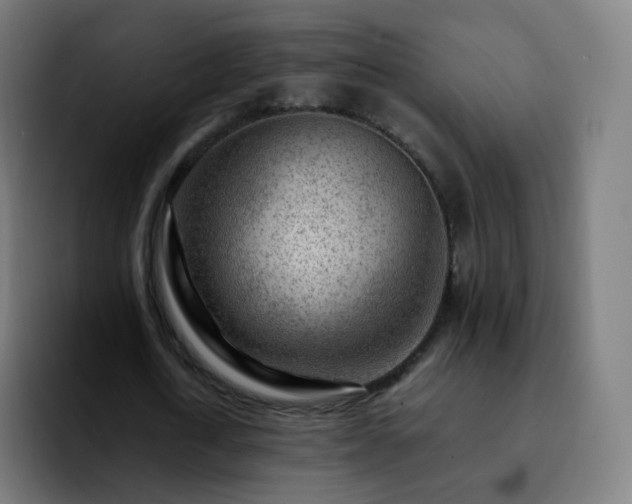 X0000092230722200709211025