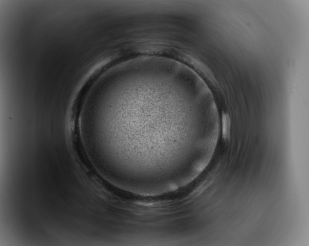 X0000092230723200709211025