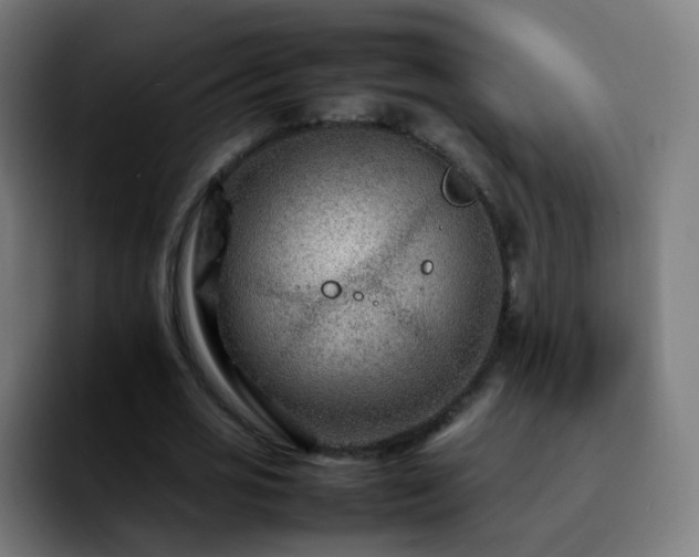 X0000092230725200709211025