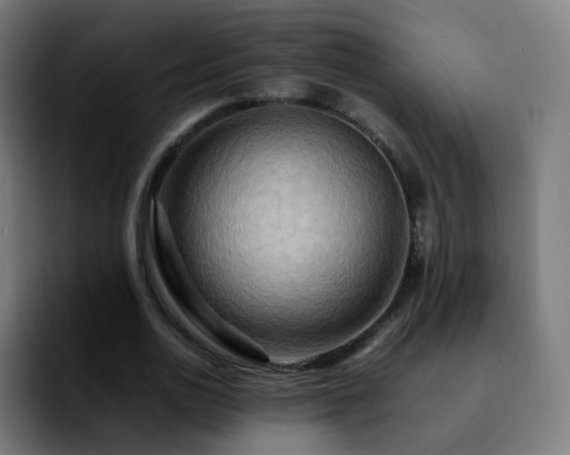 X0000092230726200709211025