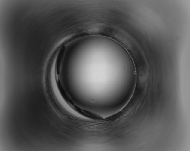 X0000092230728200709211025