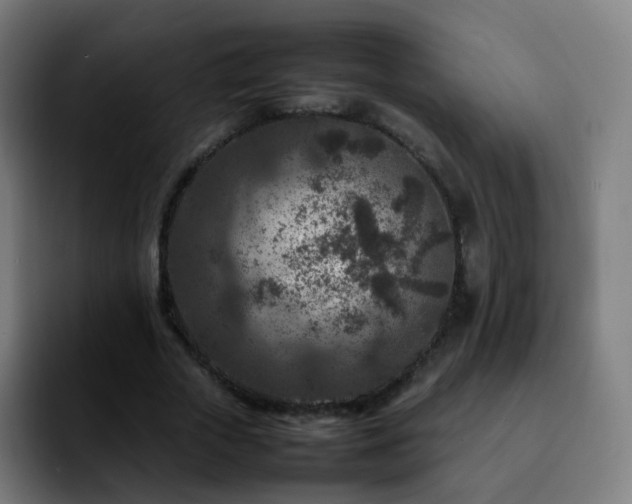 X0000092230729200709211025