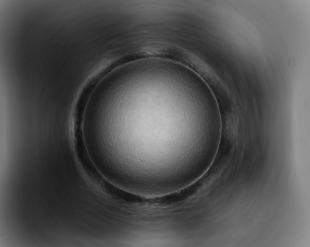 X0000092230730200709211025