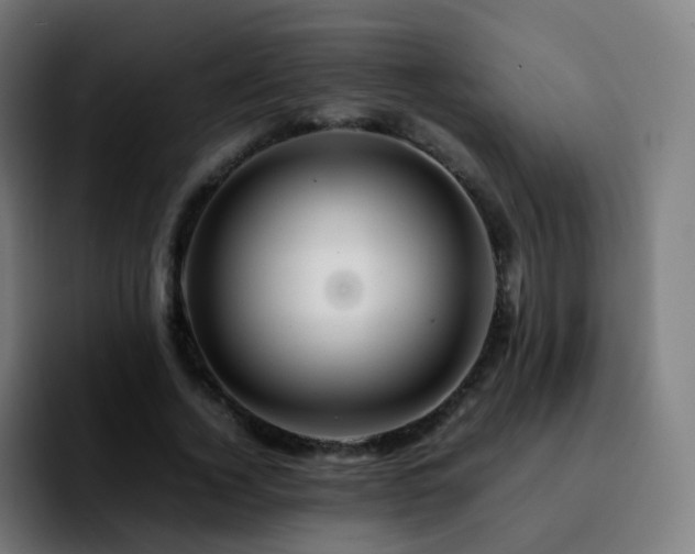 X0000092230732200709211025