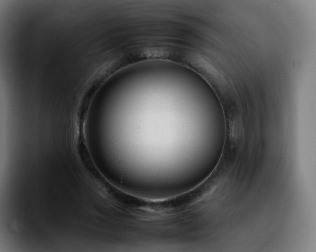 X0000092230733200709211025