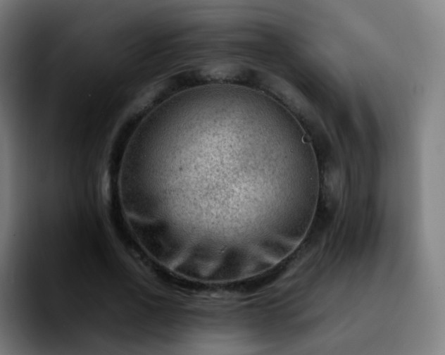 X0000092230734200709211025