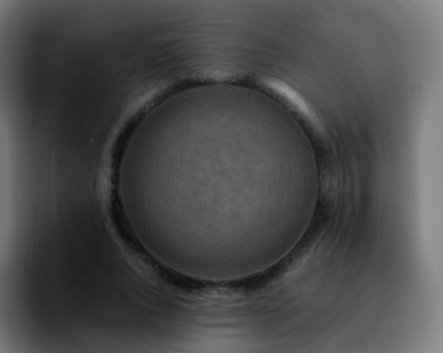 X0000092230736200709211025