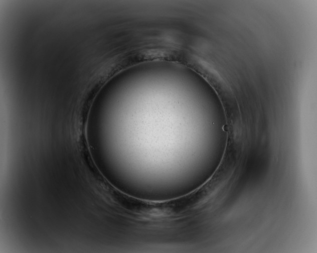 X0000092230737200709211025