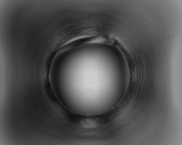 X0000092230739200709211025