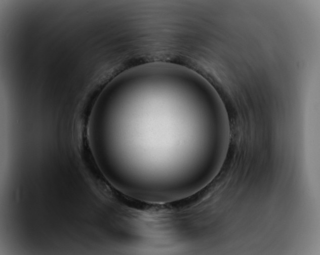 X0000092230742200709211025