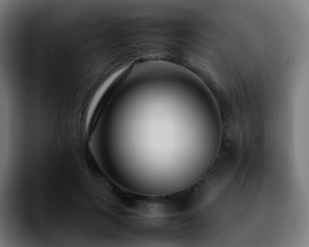 X0000092230743200709211025