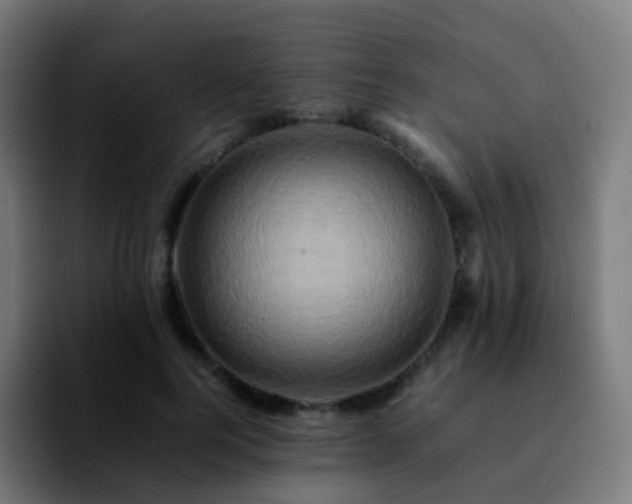 X0000092230744200709211025