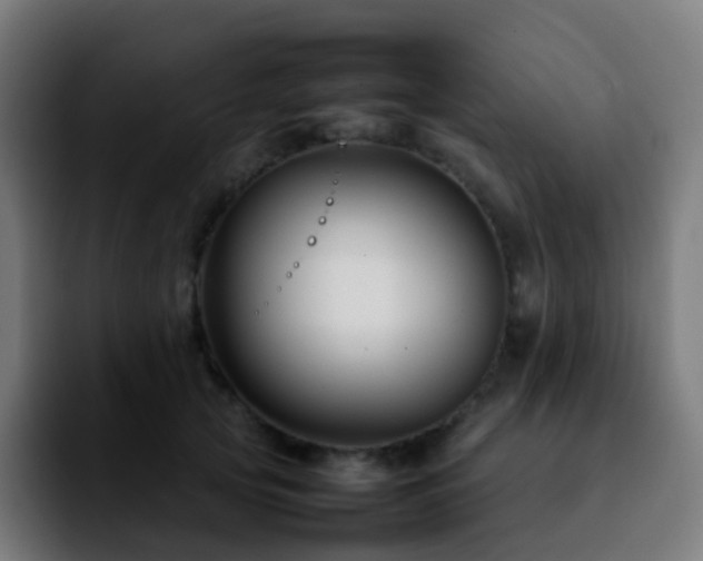 X0000092230753200709211025
