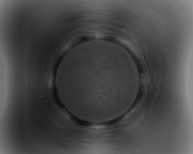 X0000092230760200709211025