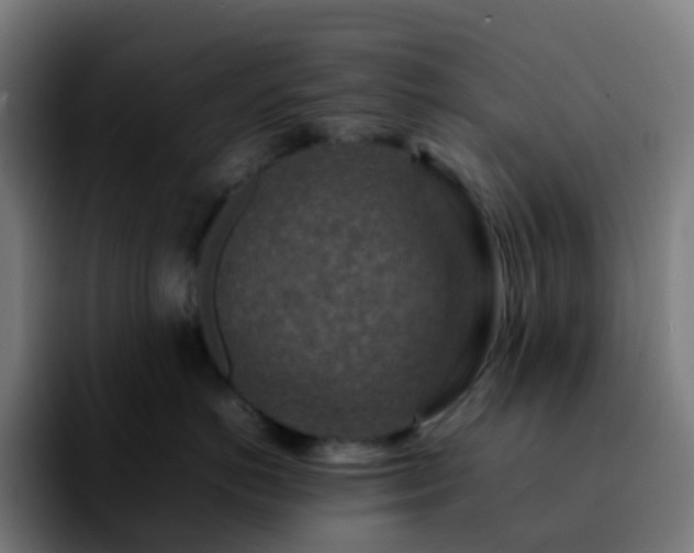 X0000092230766200709211025