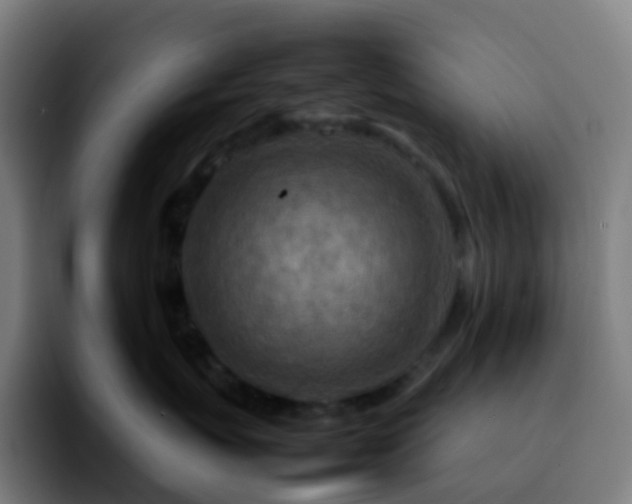 X0000092230767200709211025