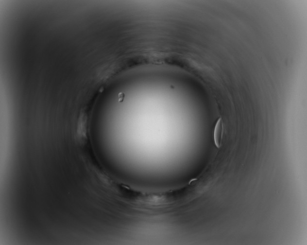X0000092230768200709211025