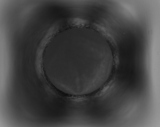 X0000092230769200709211025