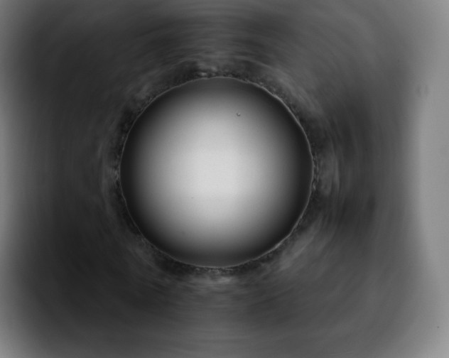 X0000092230770200709211025