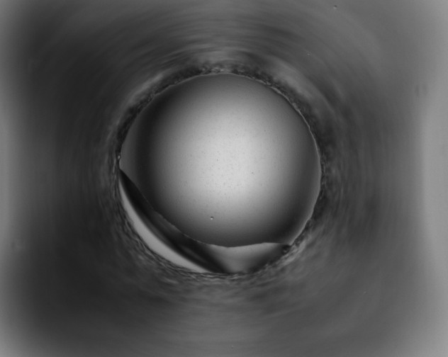 X0000092230775200709211025