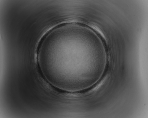 X0000092230781200709211025