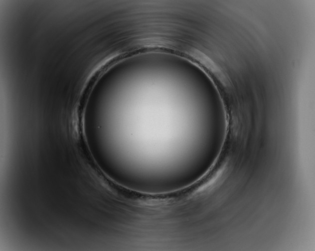 X0000092230782200709211025