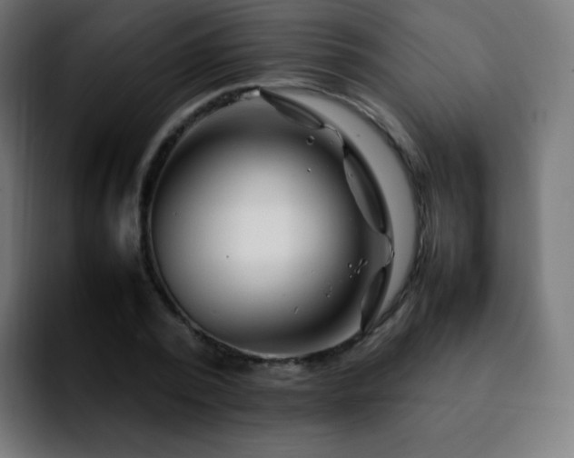 X0000092230784200709211025