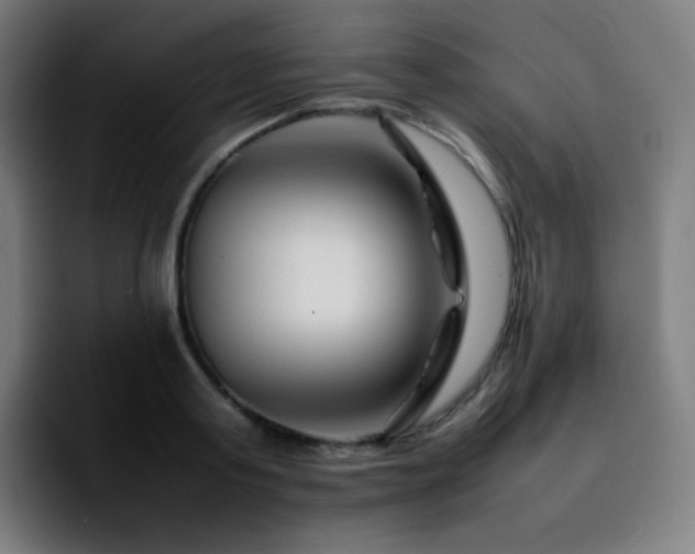 X0000092230795200709211024