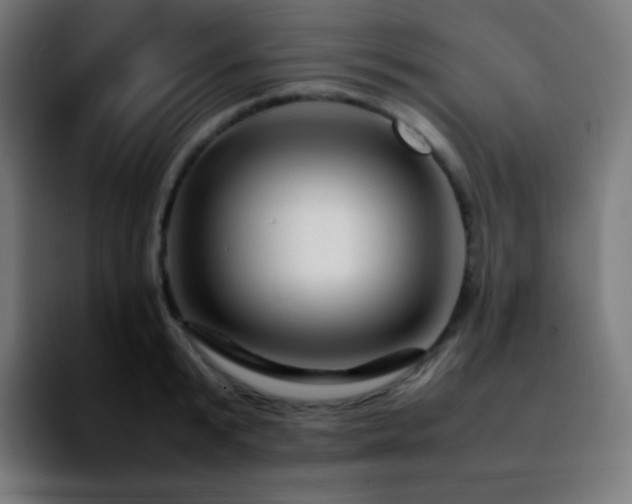 X0000092230799200709211024