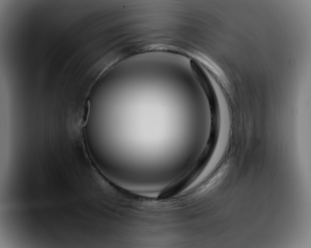 X0000092230801200709211024