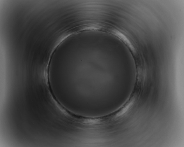 X0000092230802200709211024