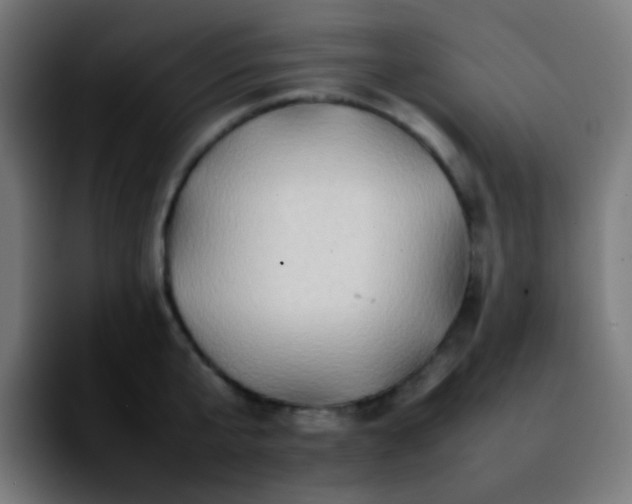 X0000092230807200709211024