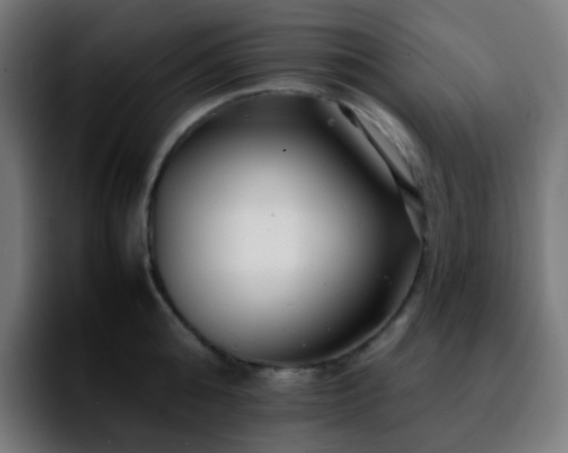 X0000092230808200709211024