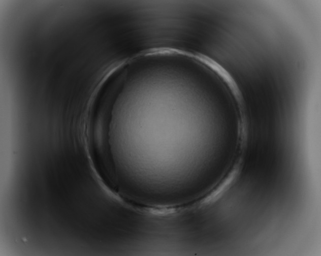 X0000092230809200709211024