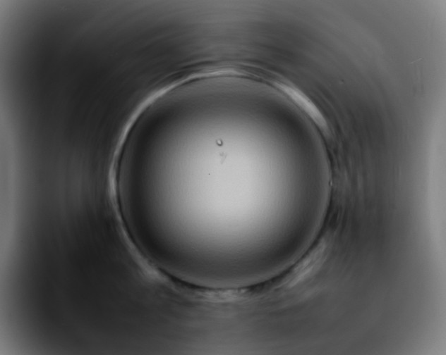 X0000092230813200709211024