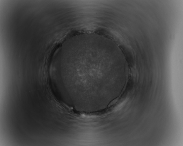 X0000092230818200709211024