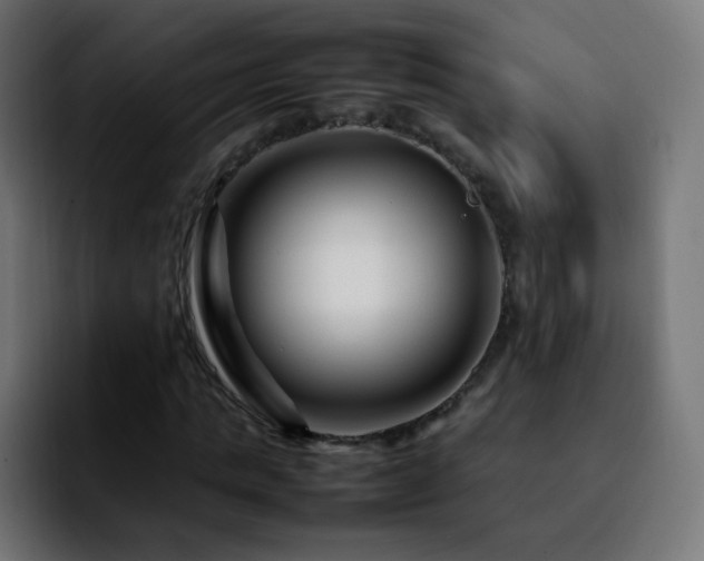 X0000092230821200709211024