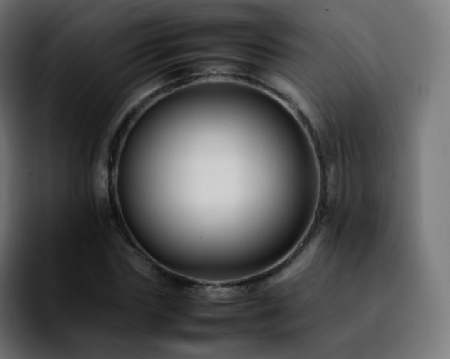 X0000092230827200709211024