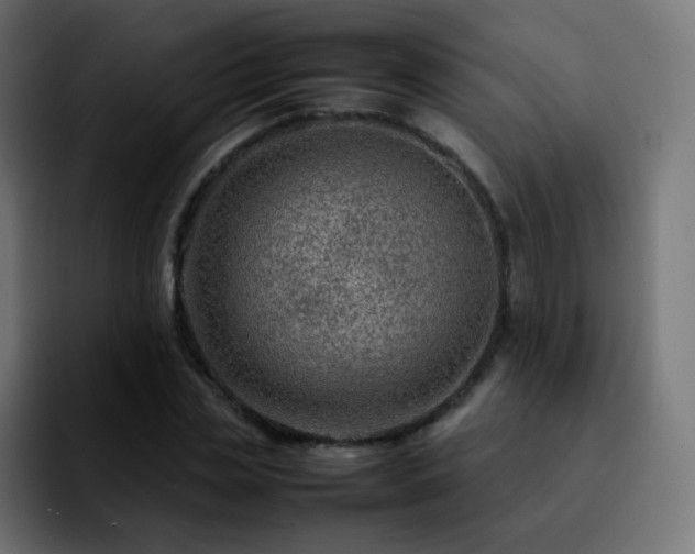 X0000092230829200709211024