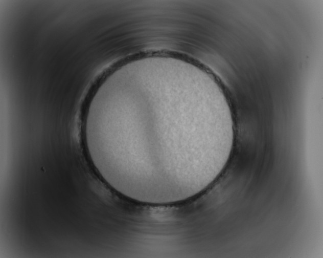 X0000092230832200709211024