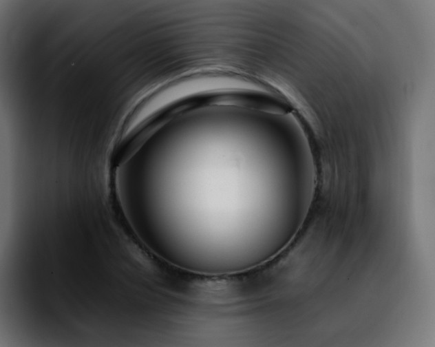 X0000092230834200709211024